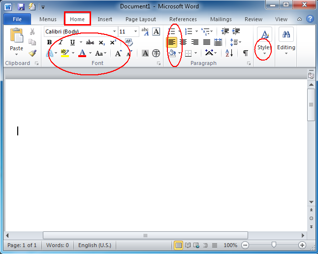 microsoft office 2010 or 2013 better for mac